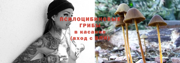 прущая мука Баксан
