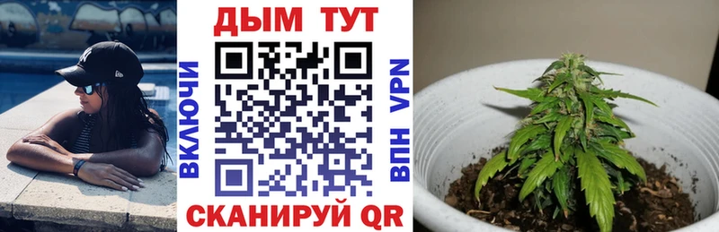 цены наркотик  Сафоново  Канабис семена 
